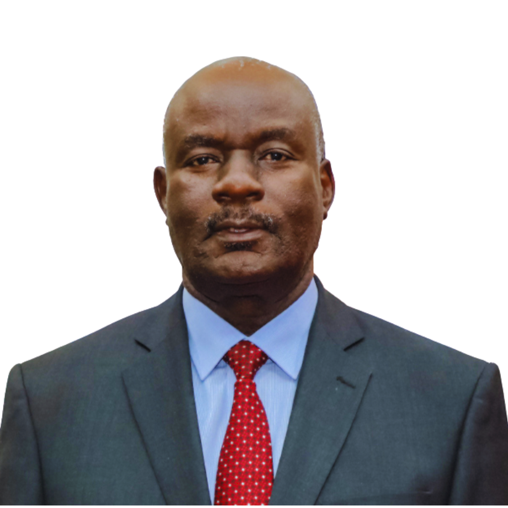 George Mcheche Masaju